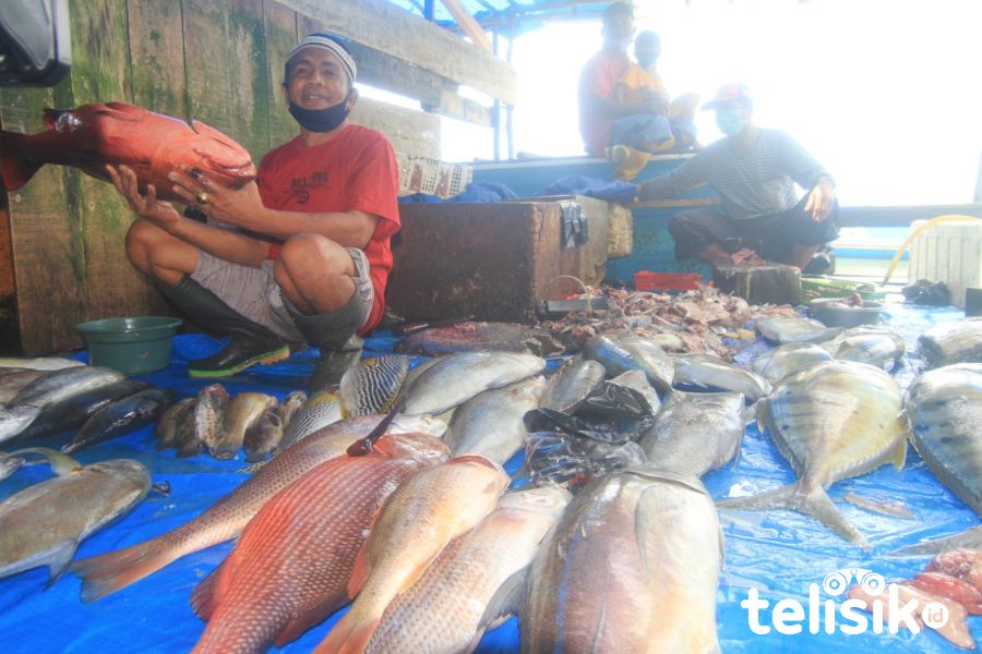 Foto Humanis: Ikan Melimpah, Pedagang Untung