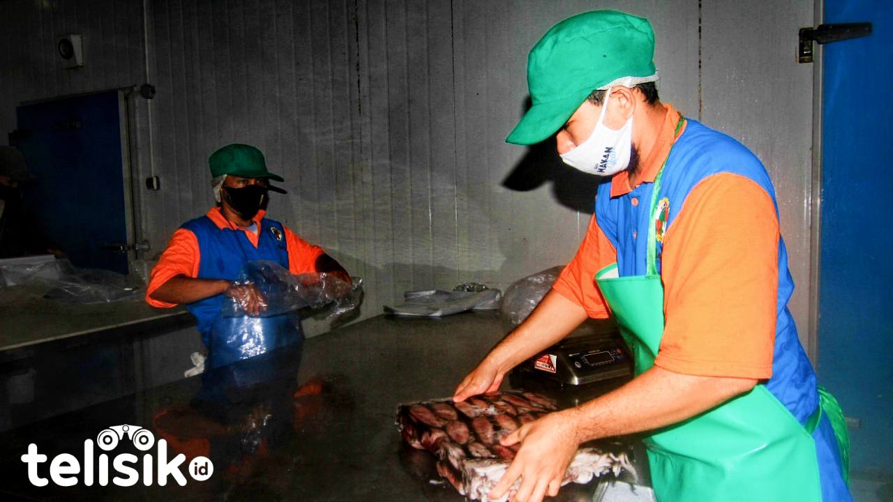 Foto Humanis: Produk Perikanan Kendari Diekspor ke Thailand