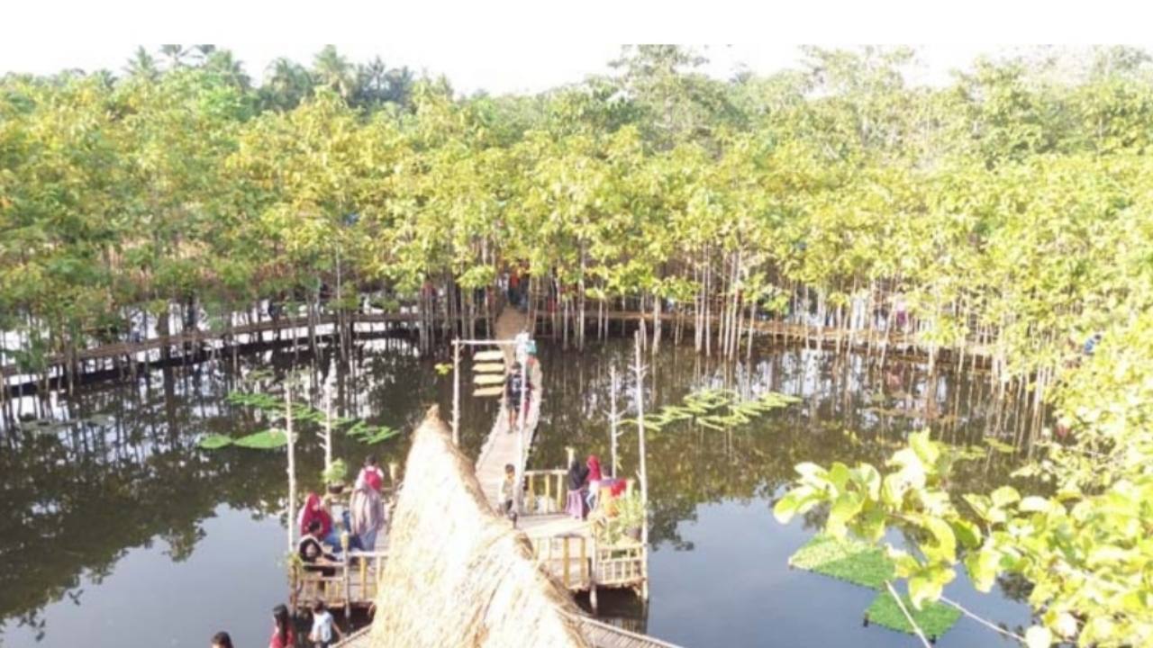 Jembatan Pelangi Danau Gempol Mubar, Mirip Tracking Mangrove di Kendari