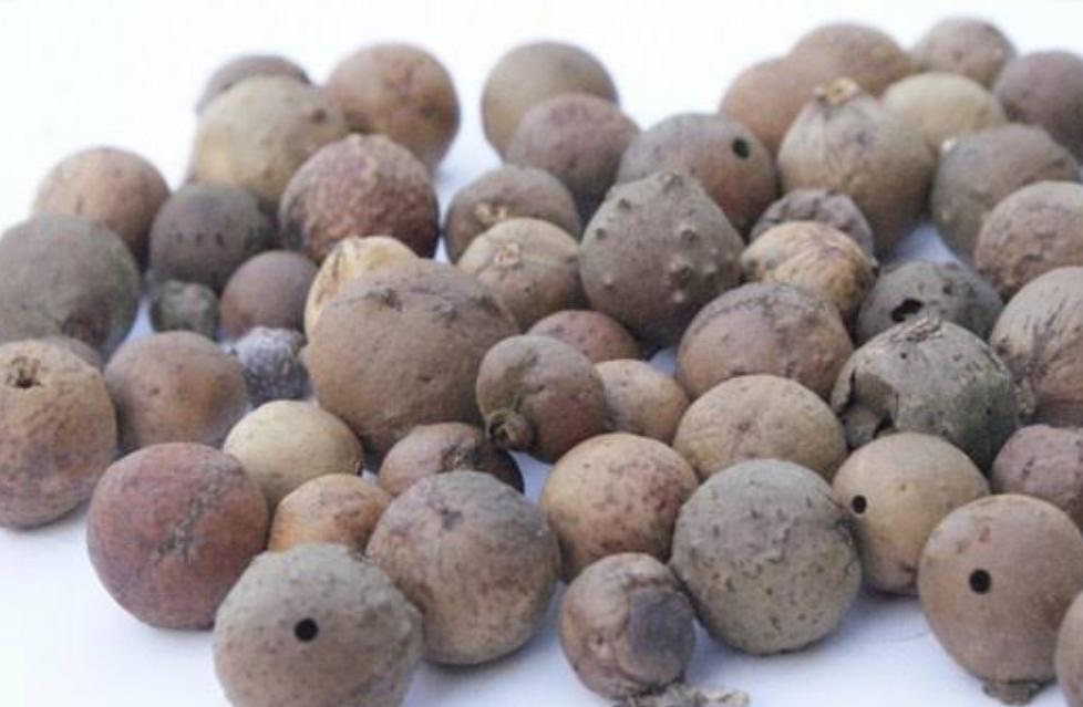 Manfaat Manjakani Selain Membersihkan Area Kewanitaan