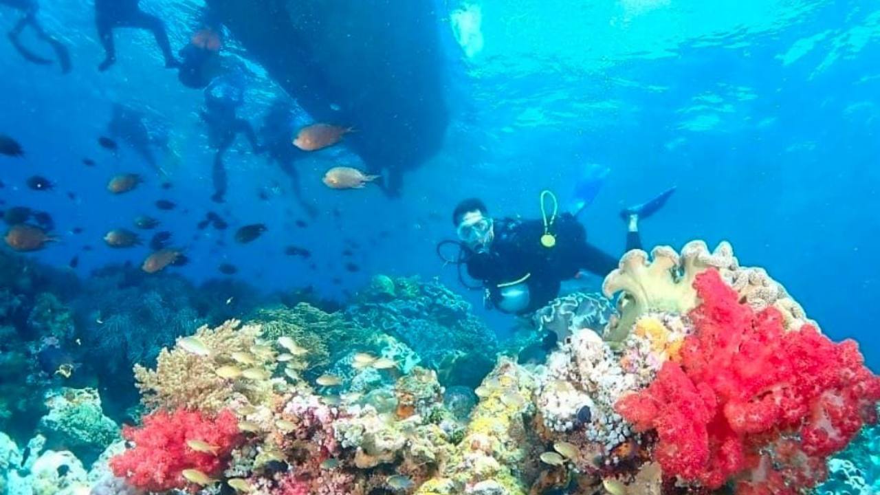 Mempertahankan Cagar Biosfer Wakatobi yang Diakui Dunia