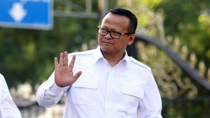 Politisi Demokrat Ini Sempat Ingatkan Menteri KKP Soal Ekspor Benur