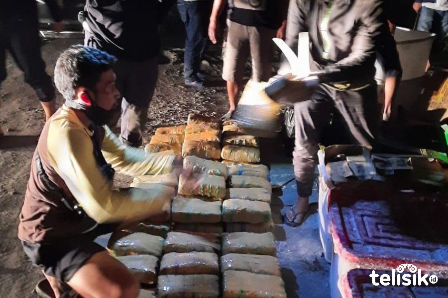 Ratusan Kilogram Ganja Berhasil Diamankan