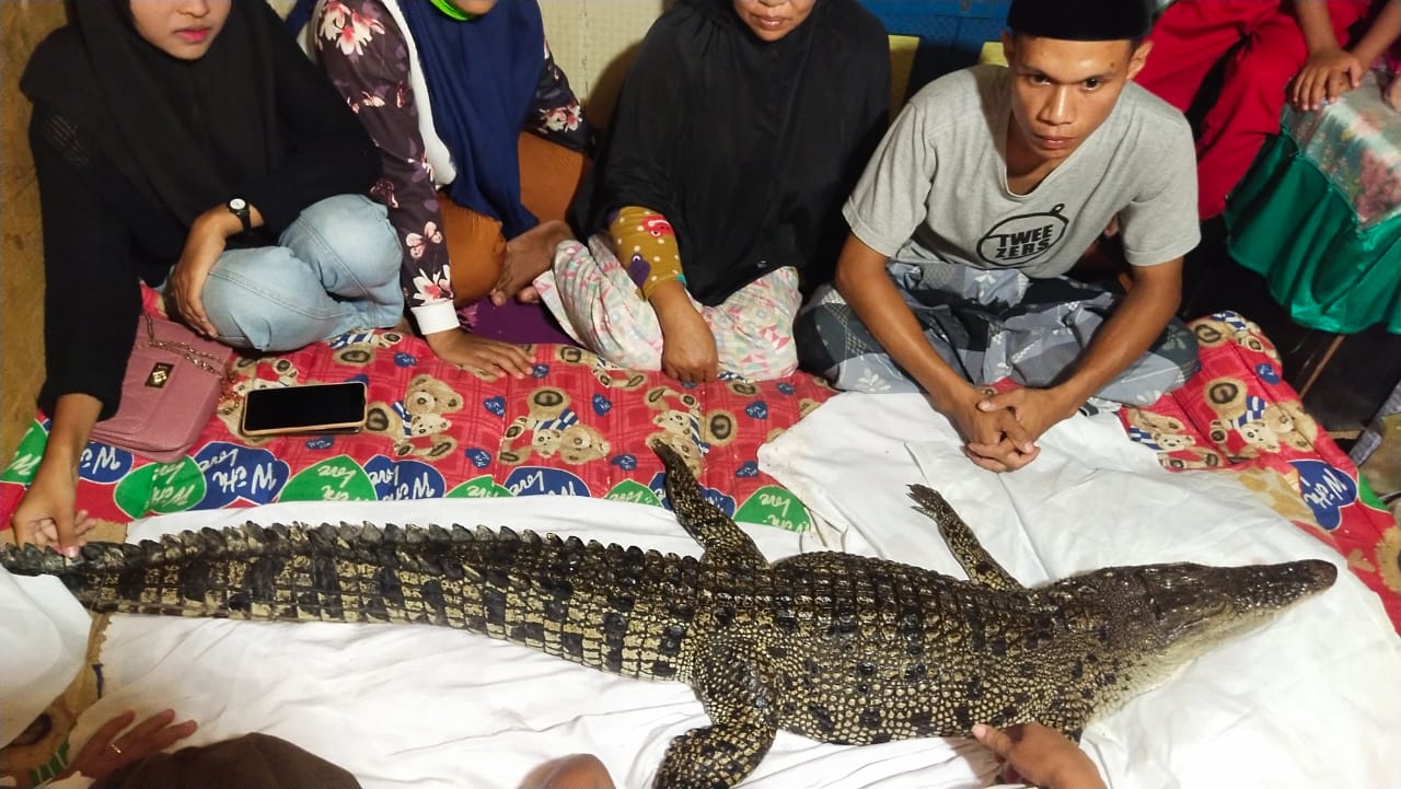 Seekor Buaya di Makassar Naik ke Darat Diduga Temui Keluarganya