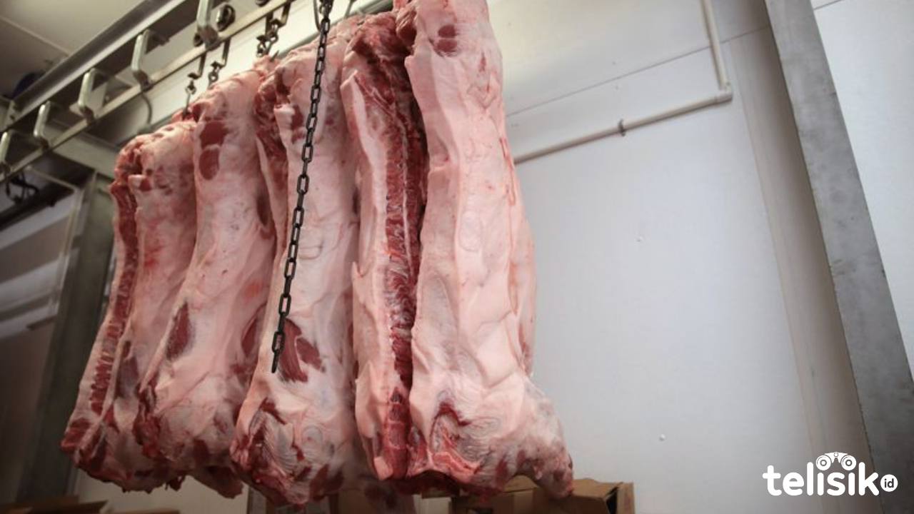 Usai Wabah ASF, Harga Daging Babi di Medan Meroket