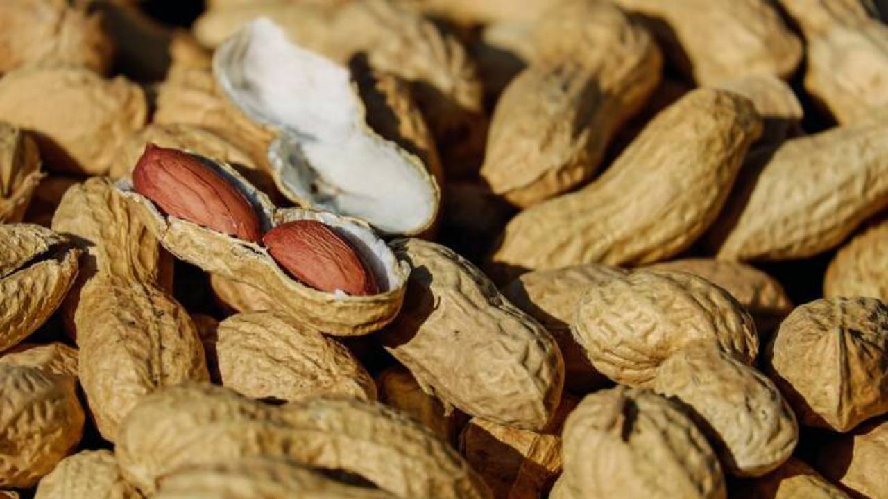 Betulkah Makan Kacang Menyebabkan Jerawat?