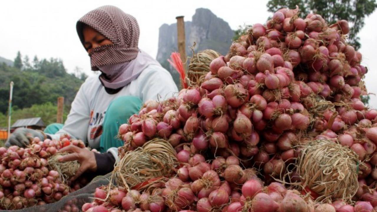 Harga Bawang di Pasar Tradisional Belum Stabil