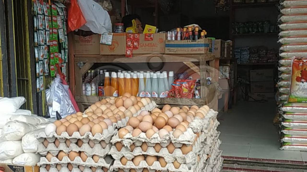 Harga Telur di Konsel Merangkak Naik Jelang Nataru