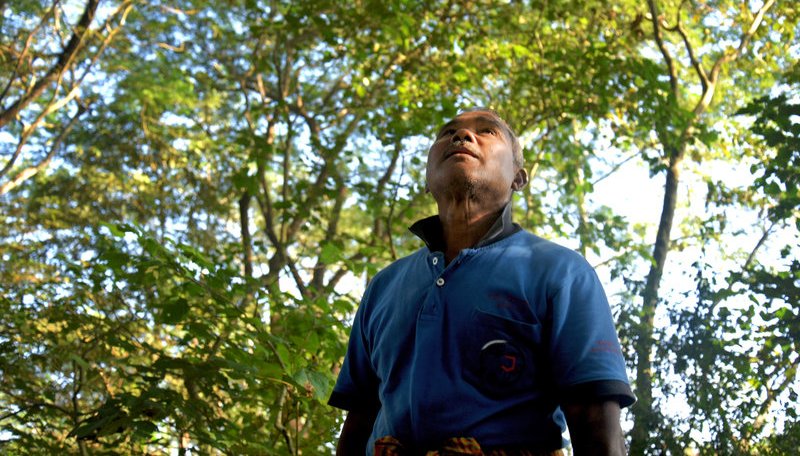 Jadav Payeng, Seorang Diri Menanam Hutan