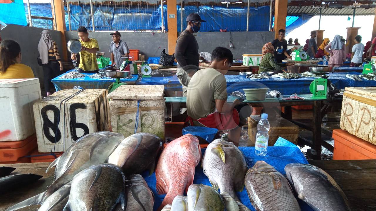 Jelang Natal dan Tahun Baru, Harga Ikan Relatif Stabil