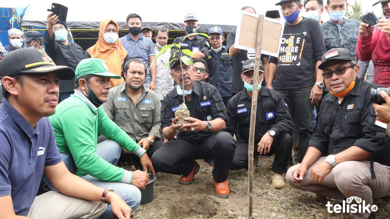 Pemkab Kolut Dorong Masyarakat Kembalikan Kejayaan Kakao