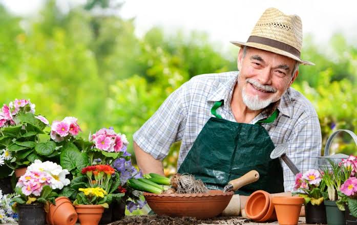 Anda Pensiunan? Ini 7 Peluang Bisnis yang Cocok bagi Anda