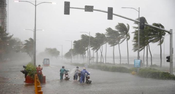 BMKG Minta Masyarakat Waspada Pohon Tumbang Akibat Angin Kencang