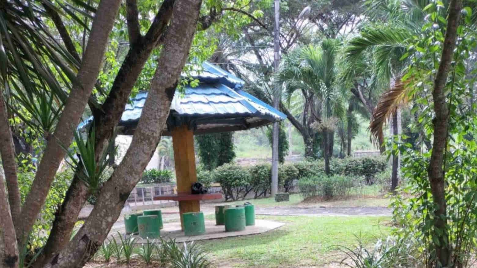 DLHK Kendari Kerahkan 14 Petugas Rawat RTH Kendari Beach