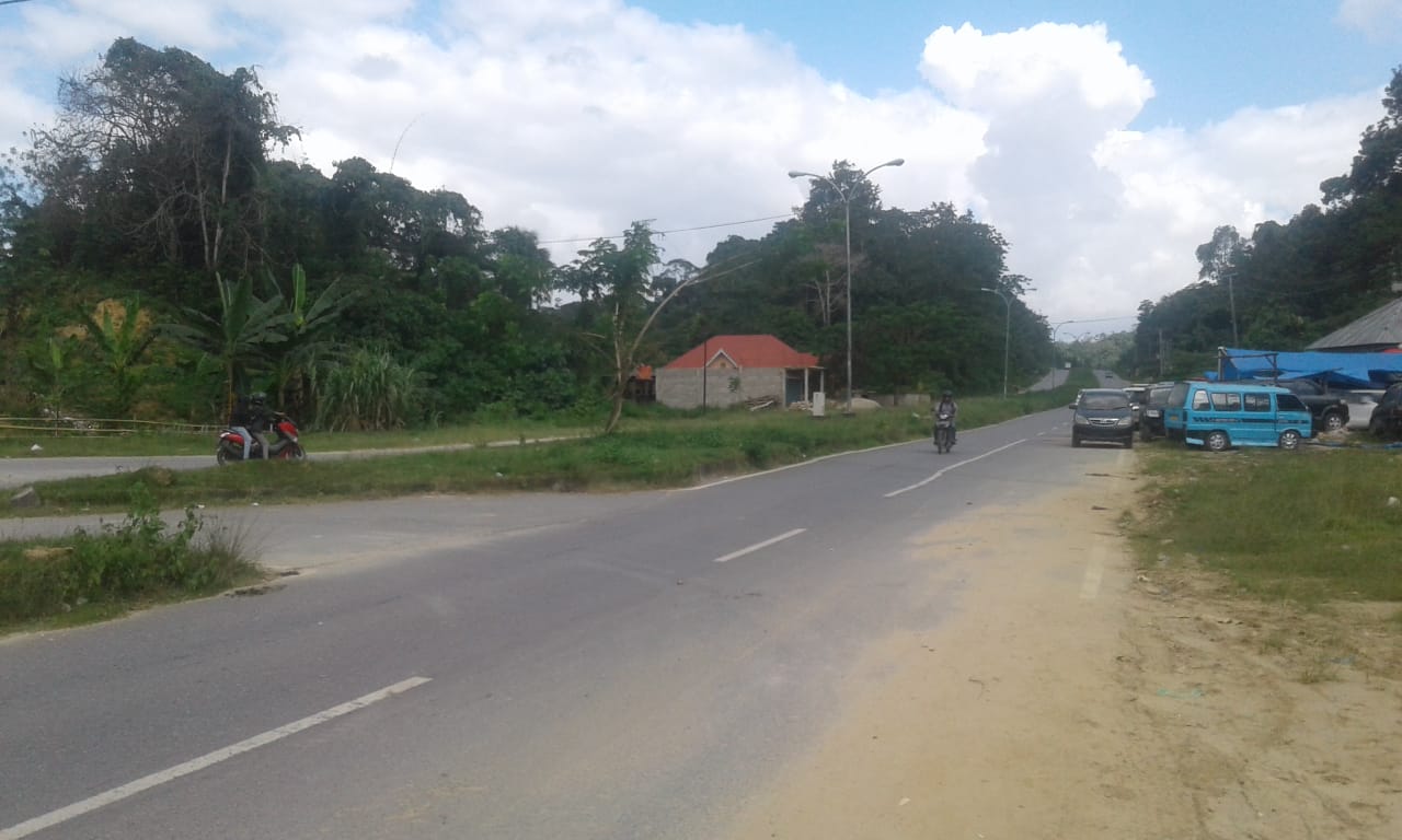 DLHK Kendari Segera Tanami Pohon Median Jalan Abeli Dalam