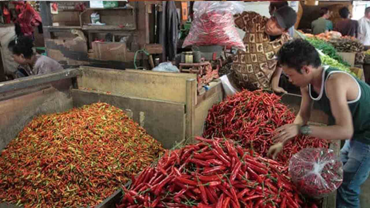 Harga Cabai di Kendari Naik Hingga 50 Persen