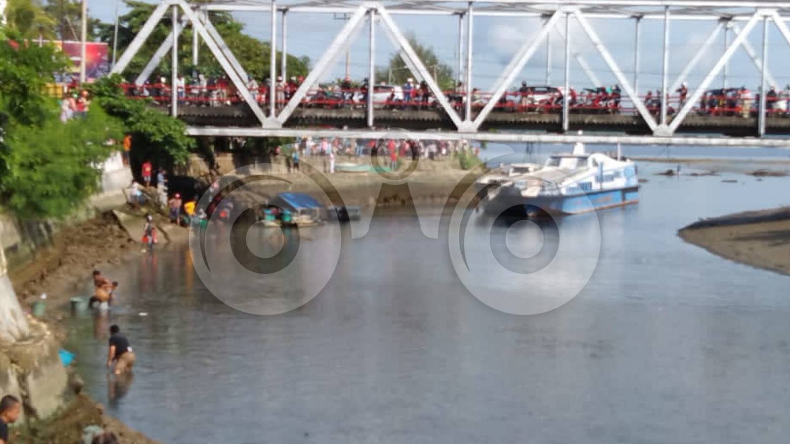 Ribuan Ikan Muncul di Permukaan, Diduga karena Kekurangan Oksigen