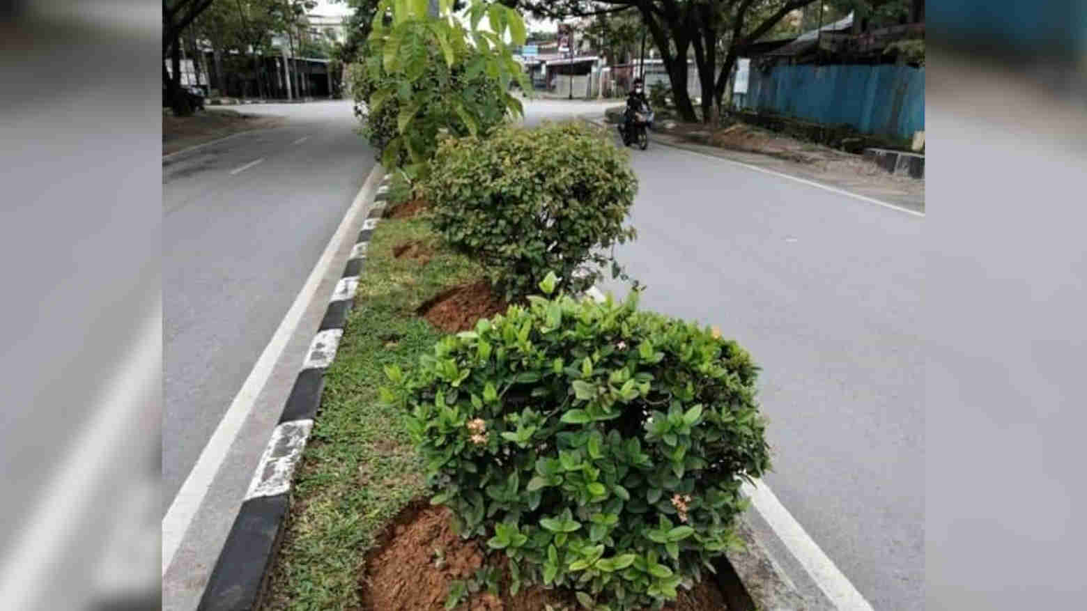 RTH Jadi Solusi Kurangi Tingkat Stres Masyarakat Kota