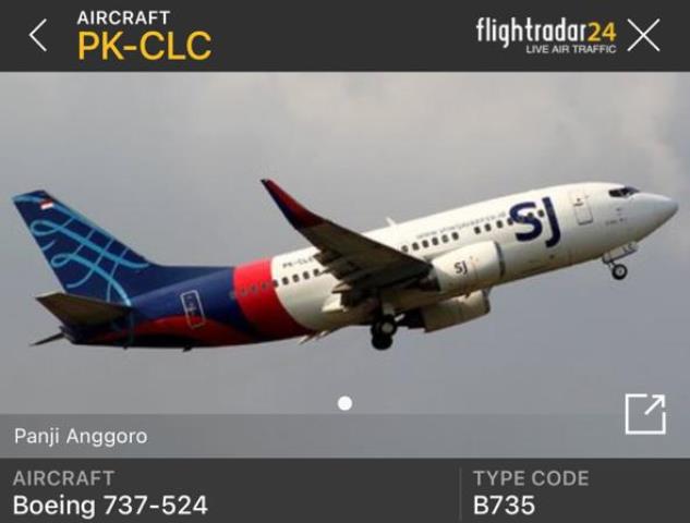 Sriwijaya Air Rute Jakarta-Pontianak Hilang Kontak Angkut 53 Orang Dewasa, 5 Anak dan 1 Bayi