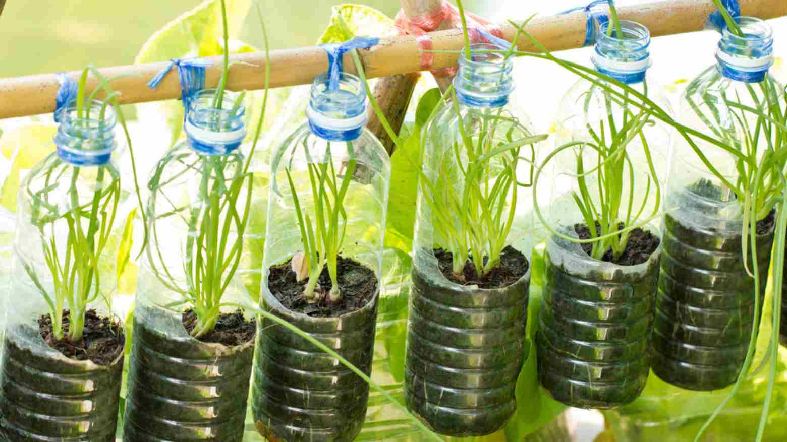Yuk, Manfaatkan Sampah Botol Plastik Jadi Tempat Menanam Sayur dan Bunga