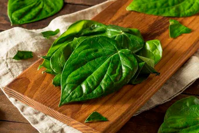 11 Manfaat Daun Sirih, Salah Satunya Bisa Mengatasi Masalah pada Area Kewanitaan