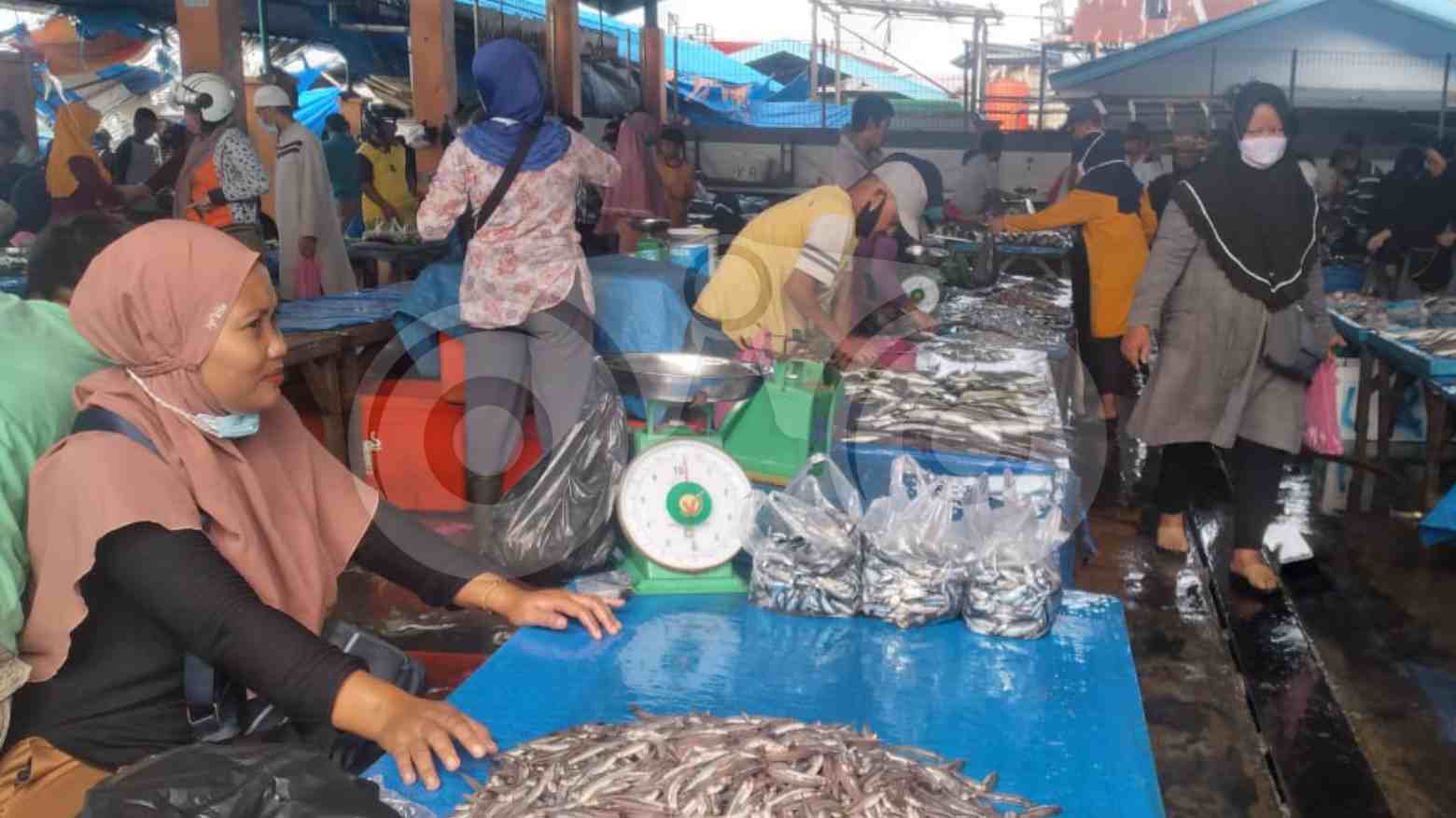 Gelombang Tinggi Sebabkan Harga Ikan di Kendari Melonjak Stok Berkurang
