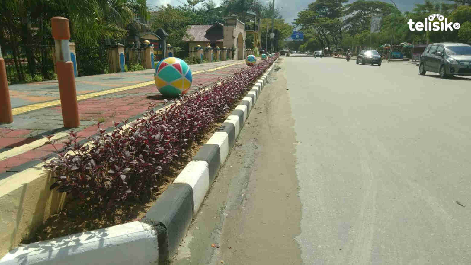 Jaga RTH, Warga Diharap Jangan Merusak Tanaman di Median Jalan