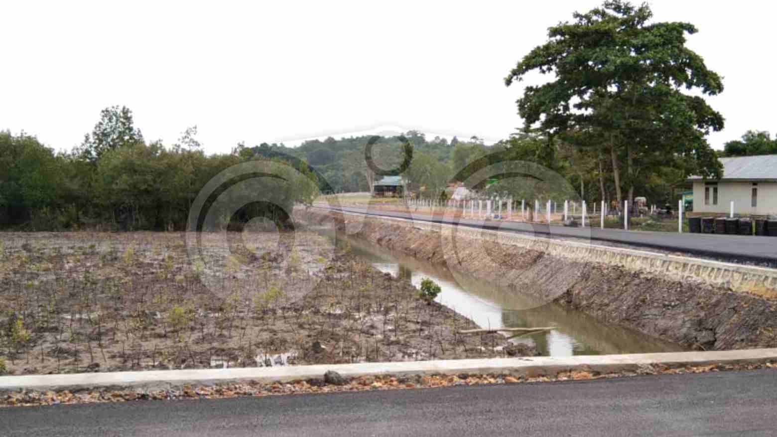 Menelisik Revitalisasi Tambak Jadi Hutan Mangrove Mantan Kapolri