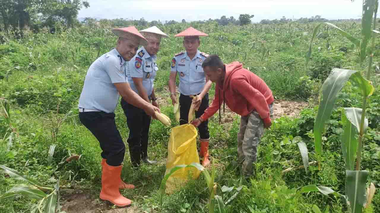 Tahanan Rutan Unaaha Dibina Kelola Lahan Pertanian
