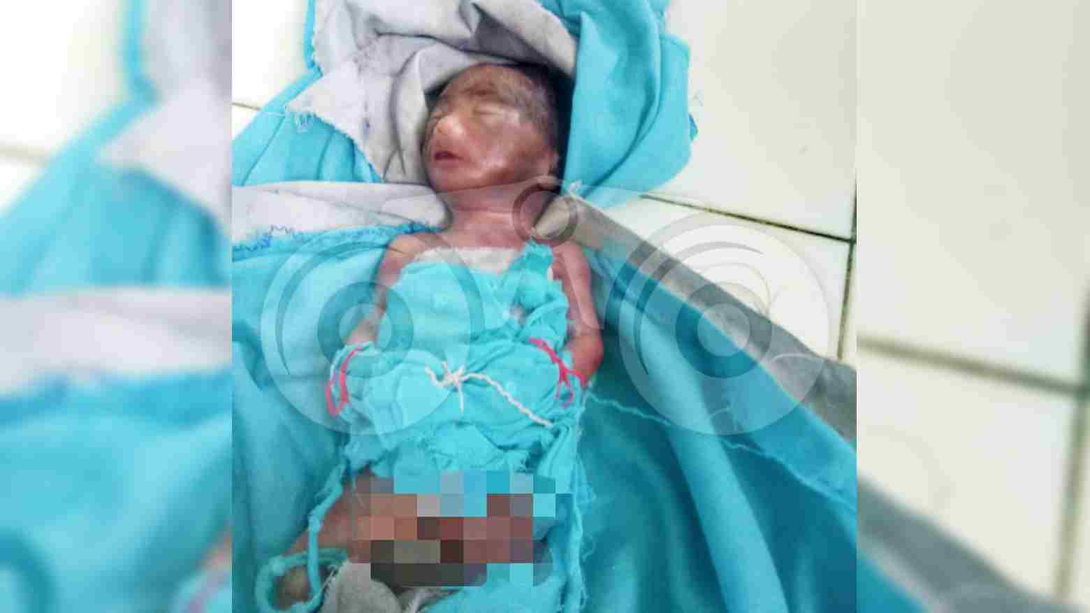 Bayi Berusia Lima Hari Dibuang di Bawah Jembatan, Diduga Hasil Hubungan Gelap