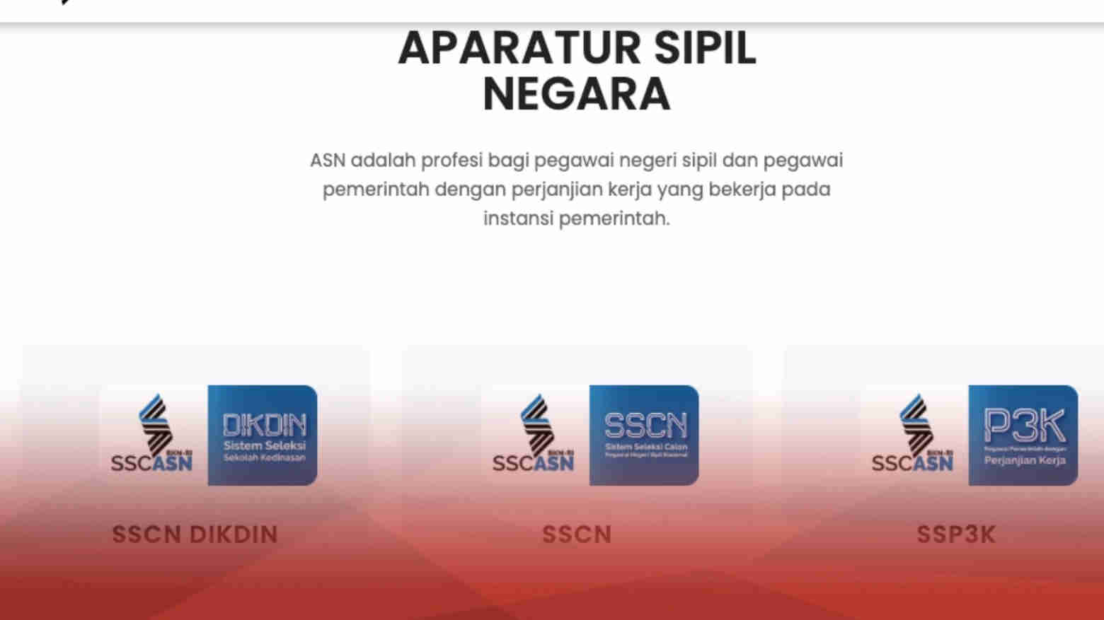 Fitur Portal SSCASN Bertambah, Ini Kemudahan Bagi Pendaftar CPNS