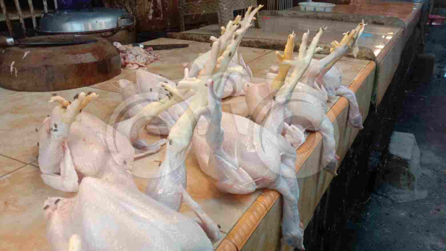 Harga Daging Ayam Perlahan Naik Jelang Ramadhan