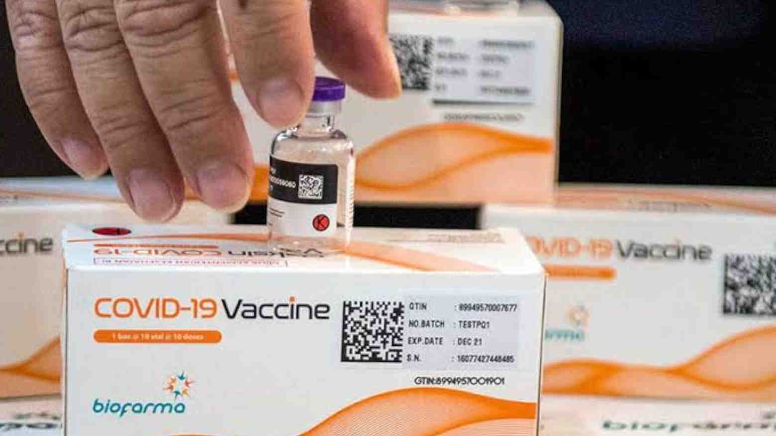 Hari Ini, 16 Juta Vaksin Sinovac Tahap Ketujuh Tiba di Indonesia
