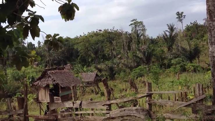 Hilangkan Kesan Angker, Hutan Warangga Muna Bakal Disulap Jadi Taman Kota