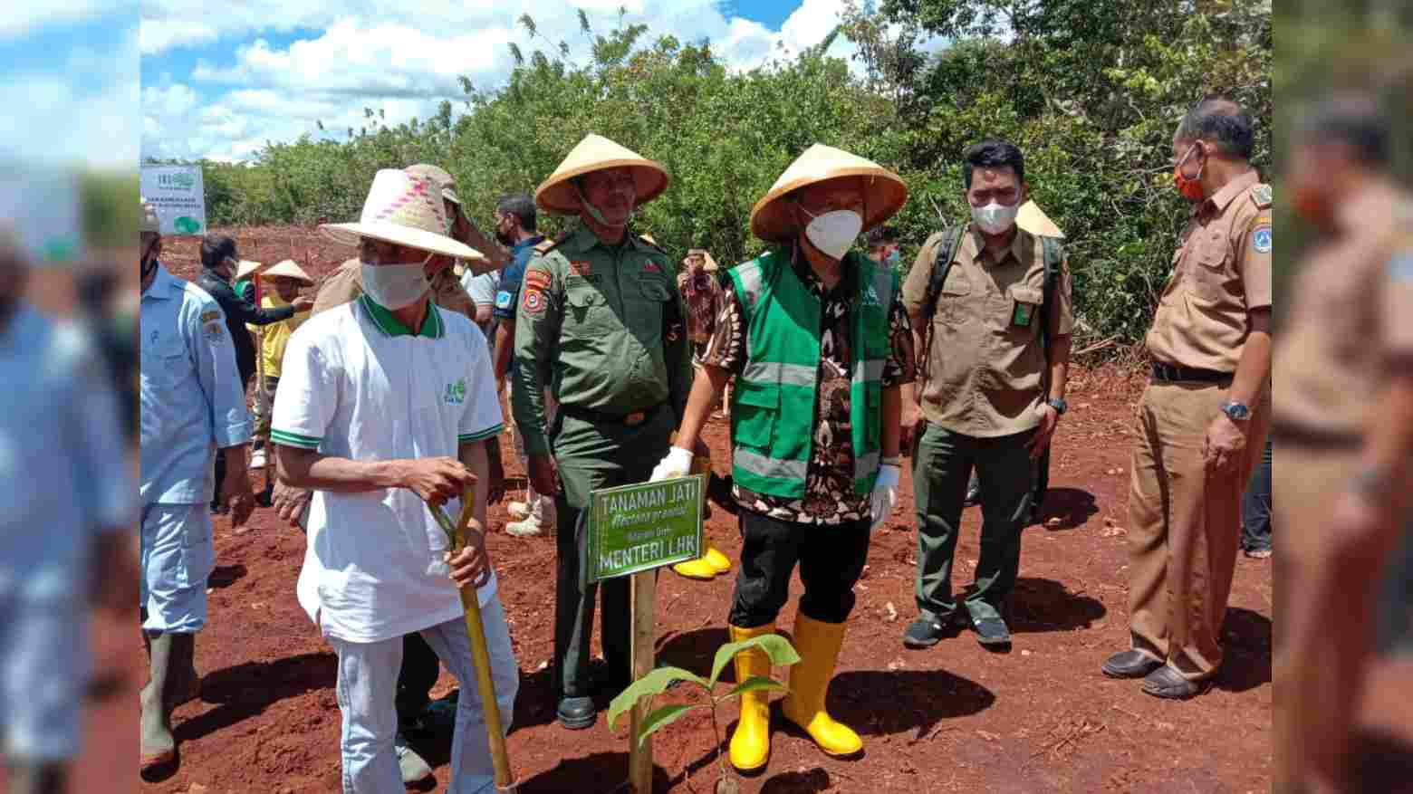 Hutan Lindung Bisa Dimanfaatkan dengan Catatan Pohon Tidak Ditebang
