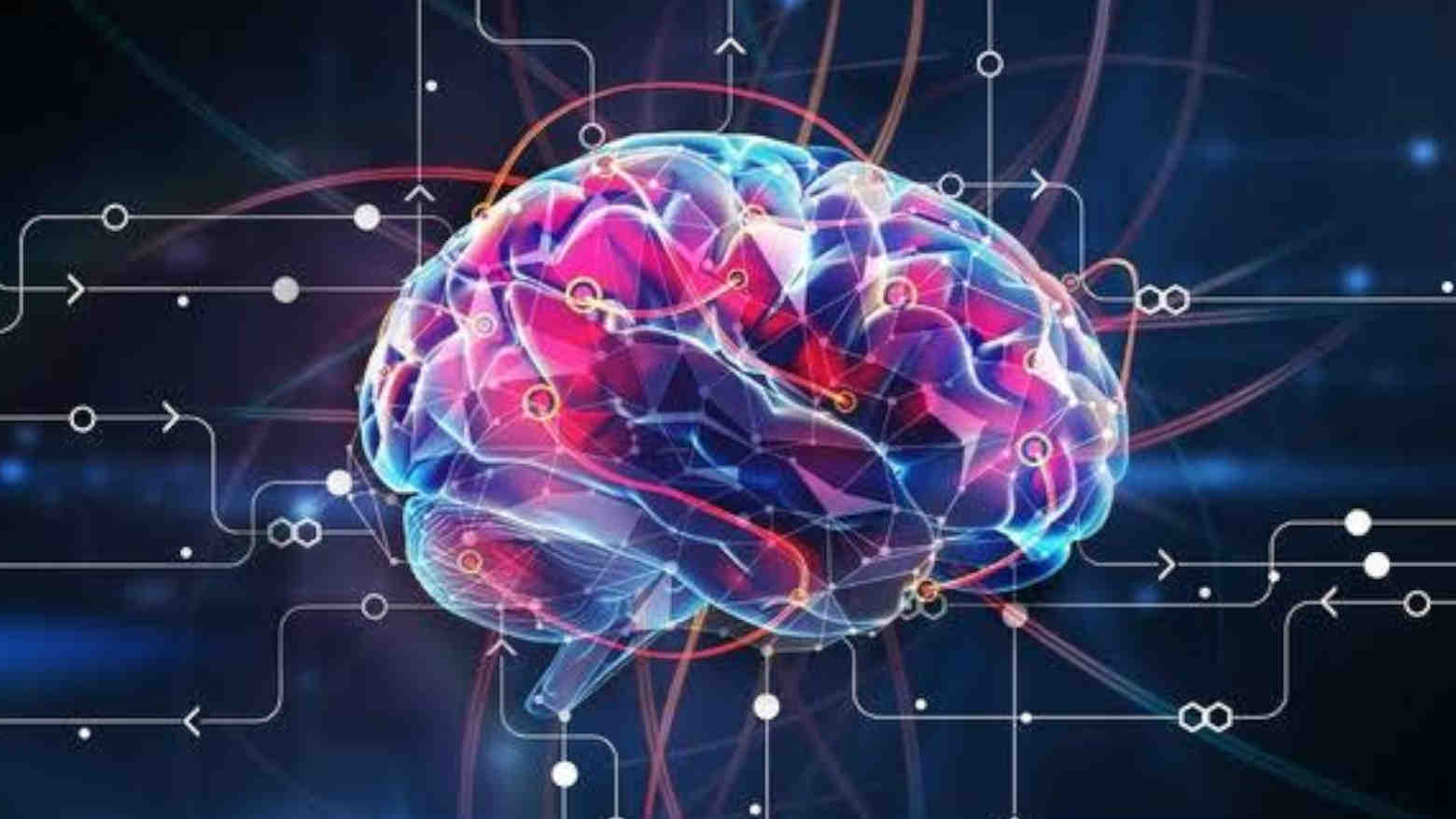 Ini 8 Jenis Kecerdasan Manusia yang Perlu Anda Ketahui