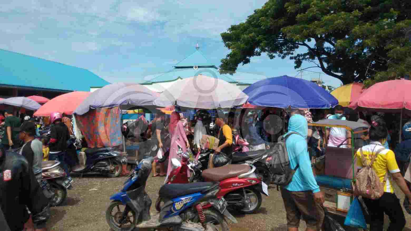 Kadis Perikanan: TPI Sodohoa Hanya Tempat Menjual Ikan