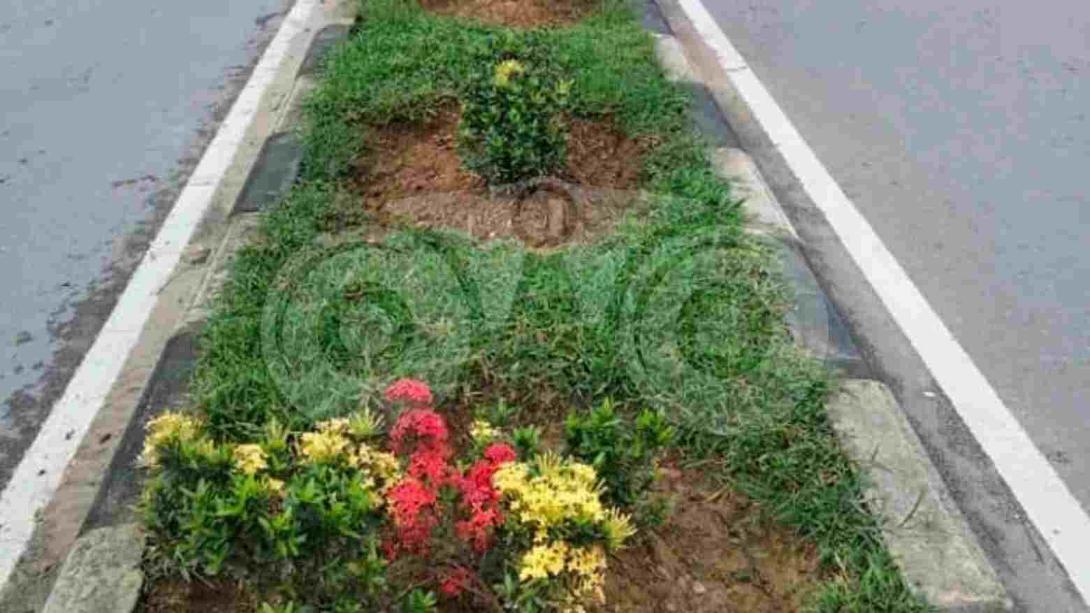 Kawasan RTH di Kendari Terus Dipercantik