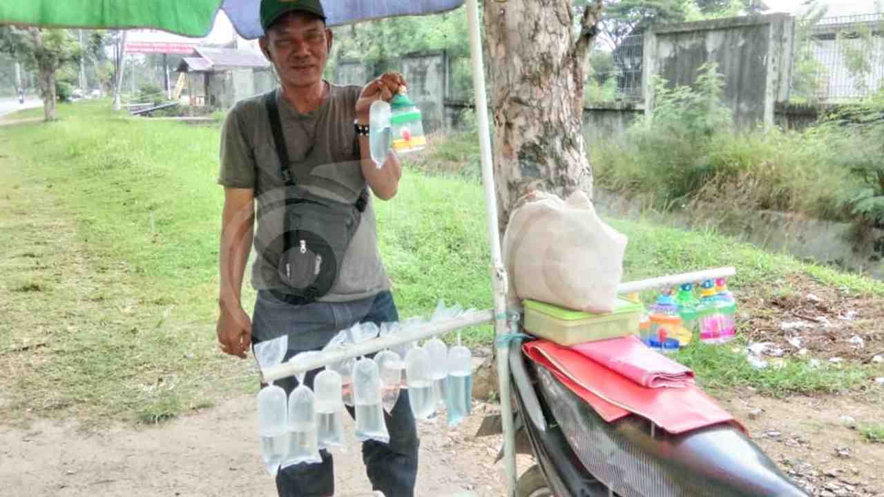 Kisah Penjual Ikan Cupang yang Hanya Mampu Hidupi Keluarga