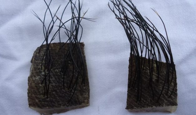 Mistik: 5 Bentuk Jimat di Indonesia, dari Tali Pocong hingga Batu Lipan