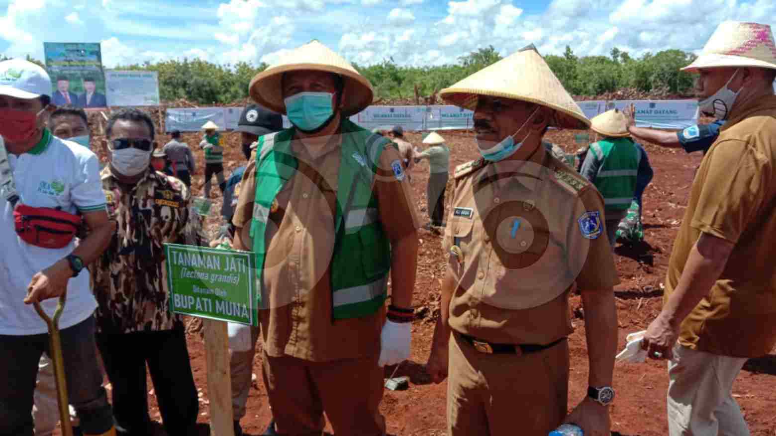 Penanaman Jati di Muna Serap 2.500 Pekerja