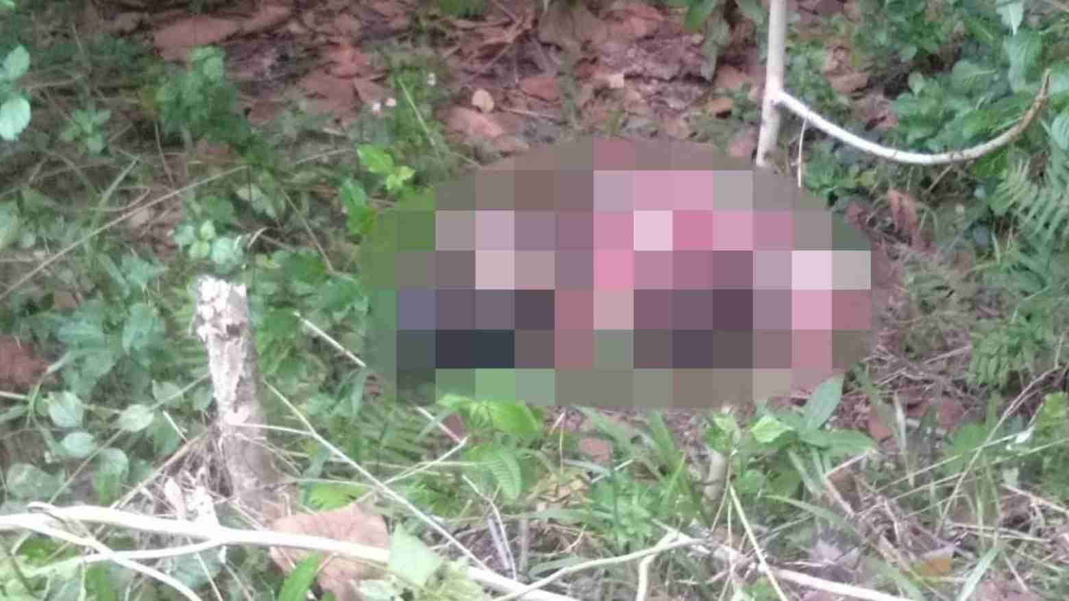 Temuan Mayat Terbungkus Selimut Gegerkan Warga Konsel