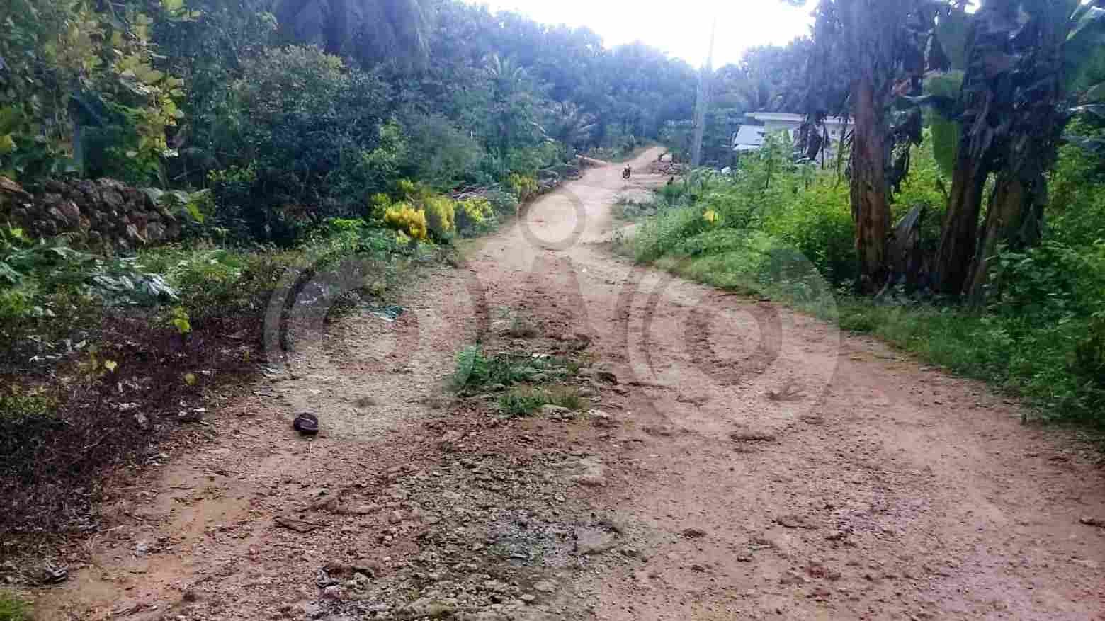 Tenaga Pendidik di Buteng Keluhkan Akses Jalan yang Rusak