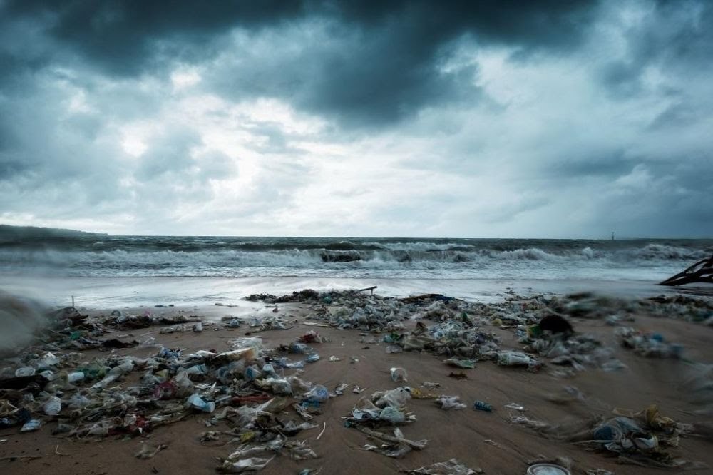 Anda Wajib Tahu, Ini Deretan Bahaya Jika Buang Sampah di Laut