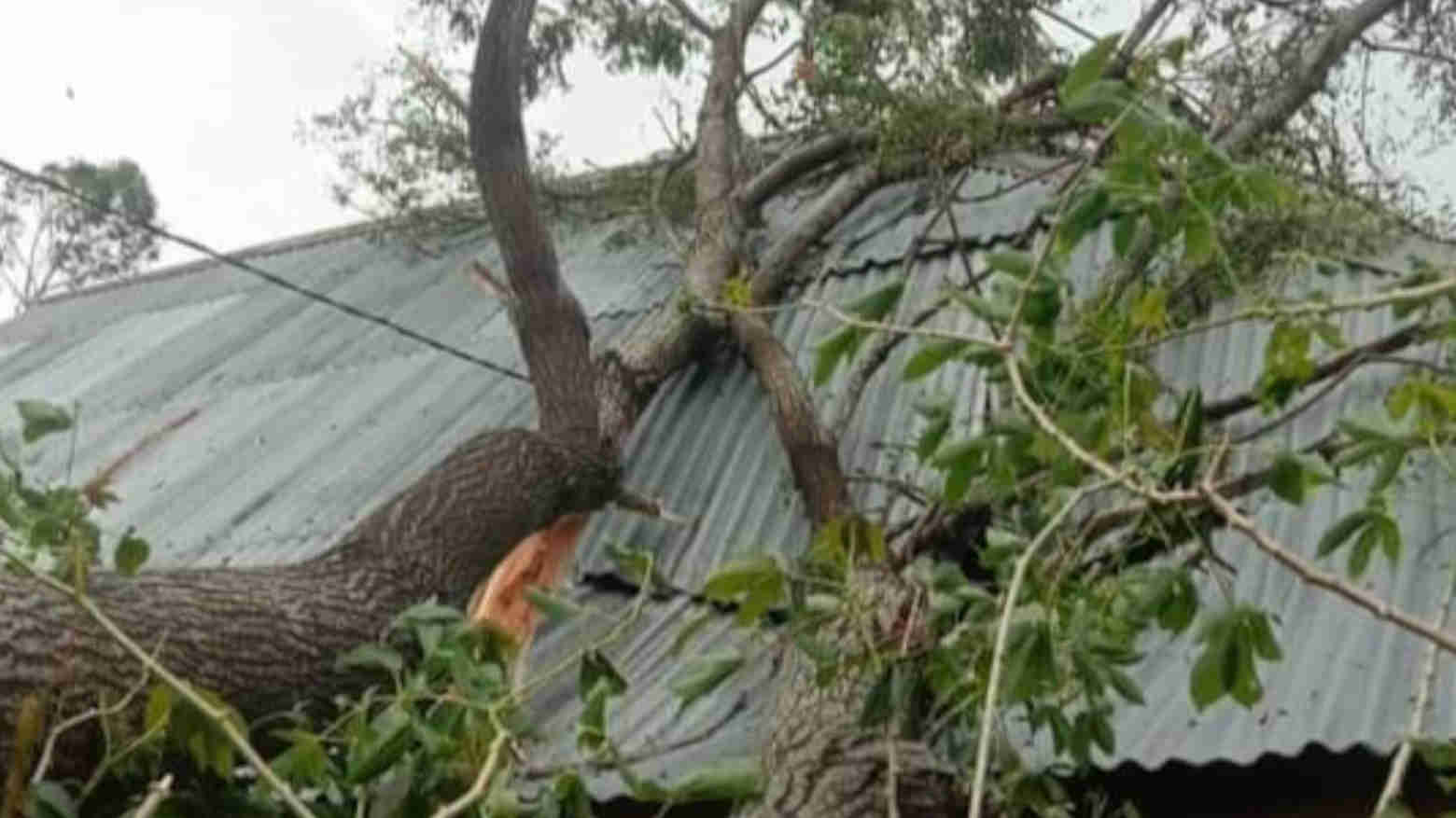 Badai Siklon Tropis Seroja Terjang Manggarai NTT, Berikut Data Kerusakannya