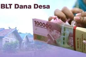 Dana Desa Tahap I Diprioritaskan BLT dan Infrastruktur