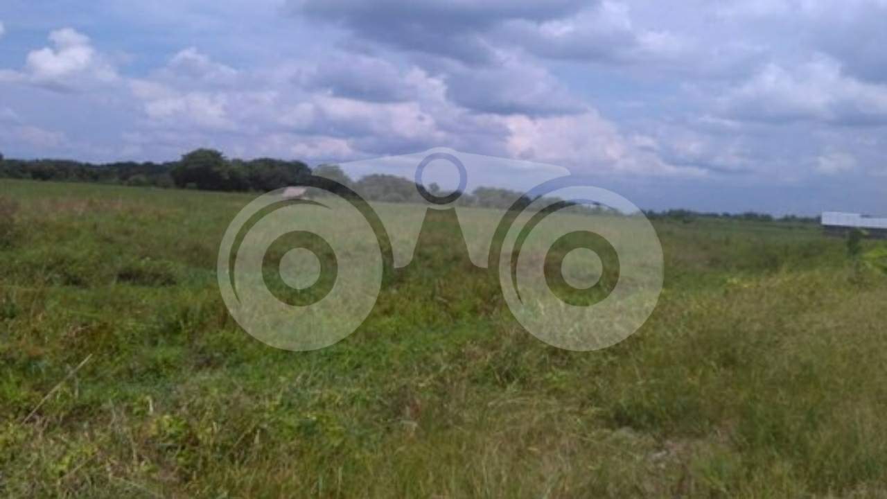 DPRD Kolaka Agendakan RDP Soal Dugaan Penyelewengan Dana PSR