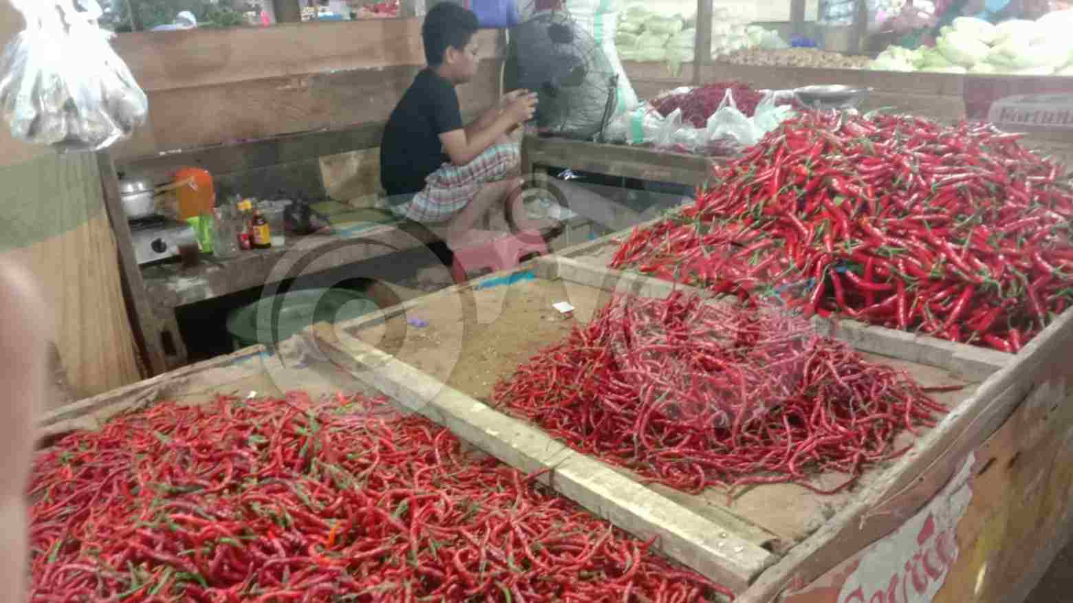 Dua Minggu Jelang Ramadan, Stok dan Harga Cabe di Pasar Baruga Masih Stabil
