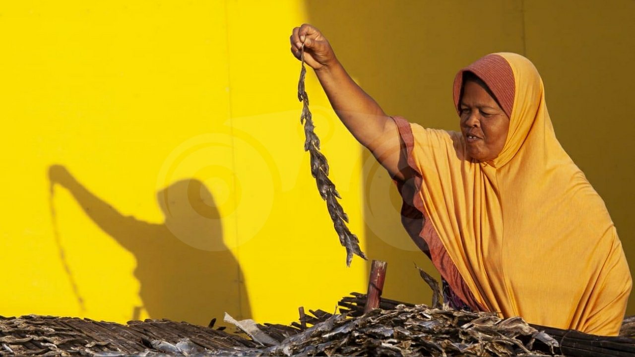 Foto Humanis: Menjaga Kelestarian Pesisir Laut