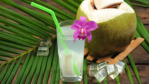 Kaya Manfaat, Kelapa Muda Favorit Berbuka Puasa
